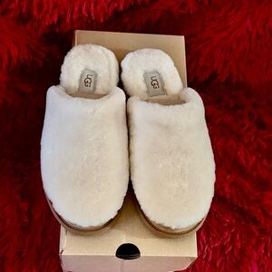 UGG Women's Maxi Pearle Tan Slippers